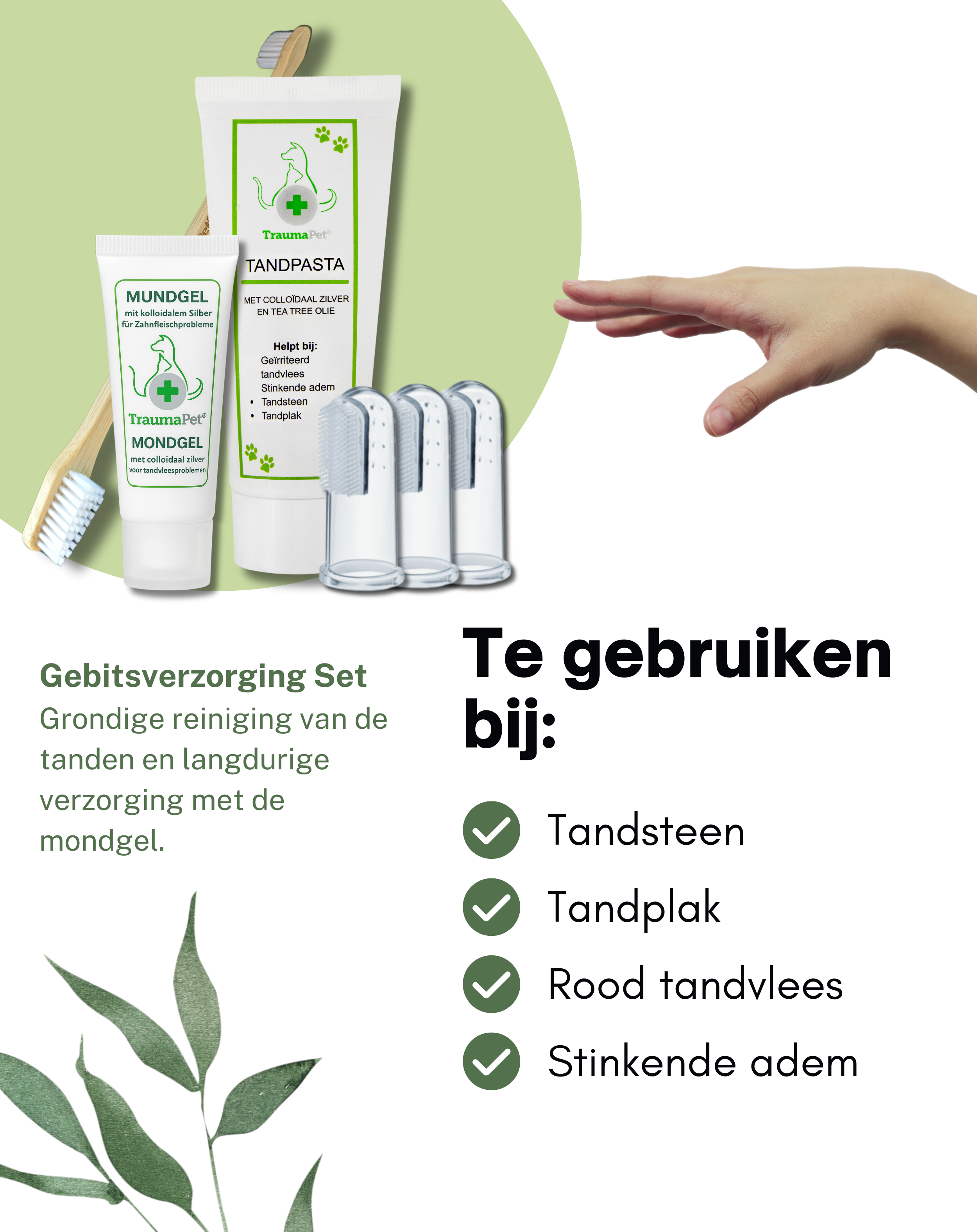 Gebitsverzorging set