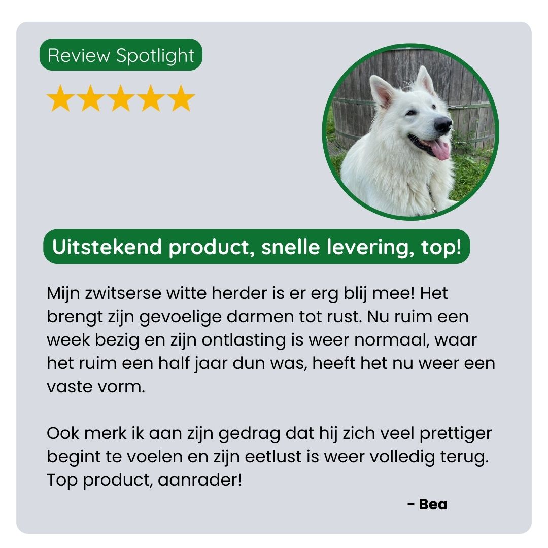 Klant deelt positieve ervaring met Pet-Gen Zeoliet: minder maag- en darmklachten, rustiger spijsvertering en betere ontlasting bij hun huisdier.