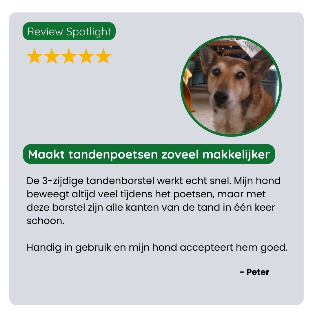 Klant deelt positieve ervaring met de TraumaPet 3-zijdige Tandenborstel: sneller poetsen, minder stress en zichtbaar schonere tanden bij hun huisdier.