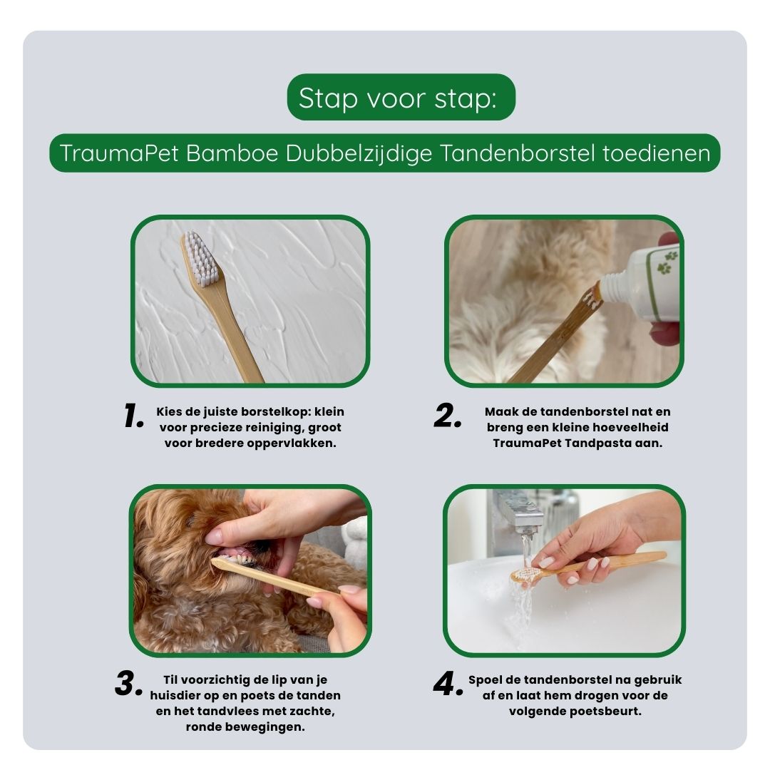 Stappenplan voor correct gebruik van de Bamboe Dubbelzijdige Tandenborstel: huisdier laten wennen, tandenborstel positioneren en rustig poetsen voor optimale mondgezondheid.