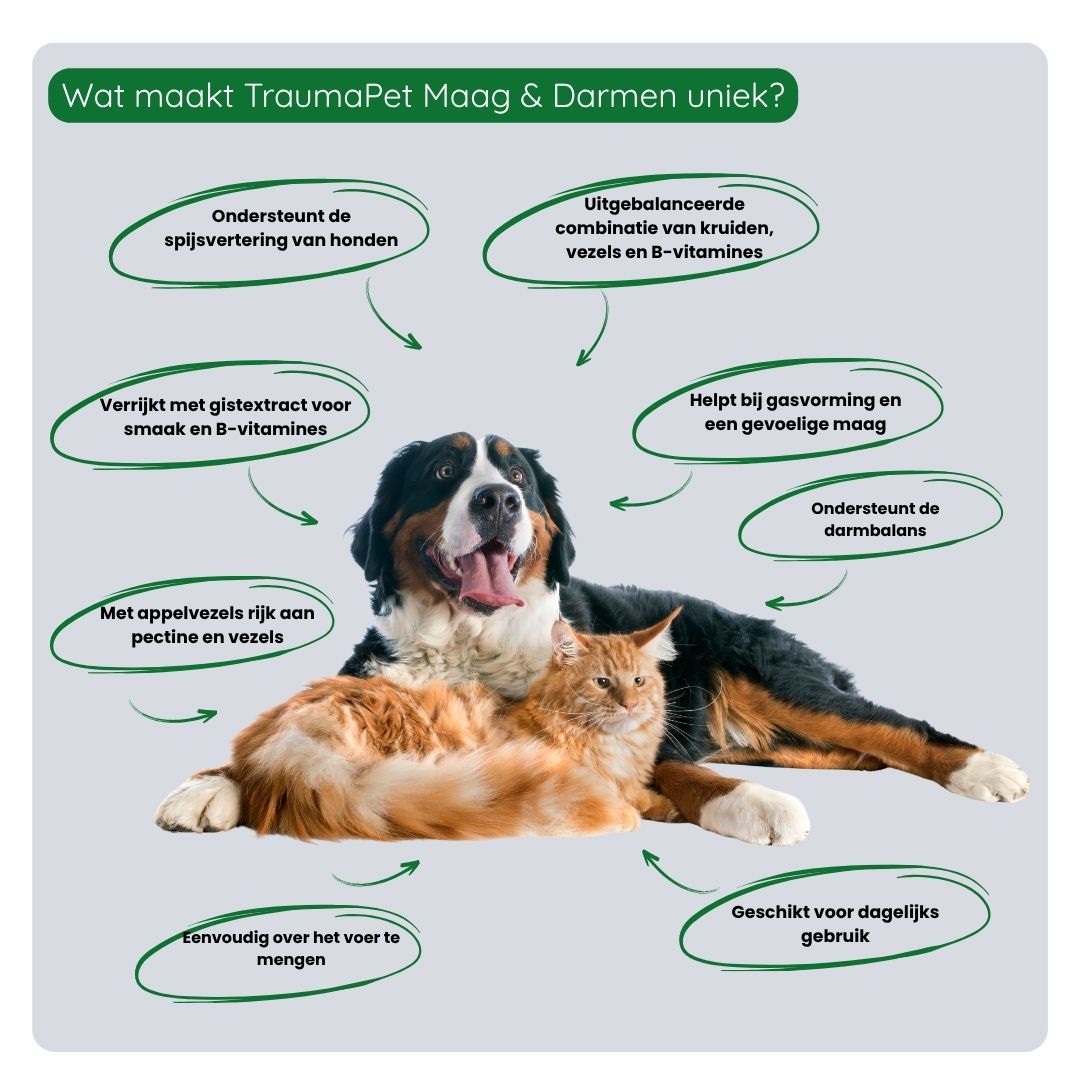 Gebruik van TraumaPet Botanicals Maag & Darmen door mengen met voeding voor dagelijkse ondersteuning
