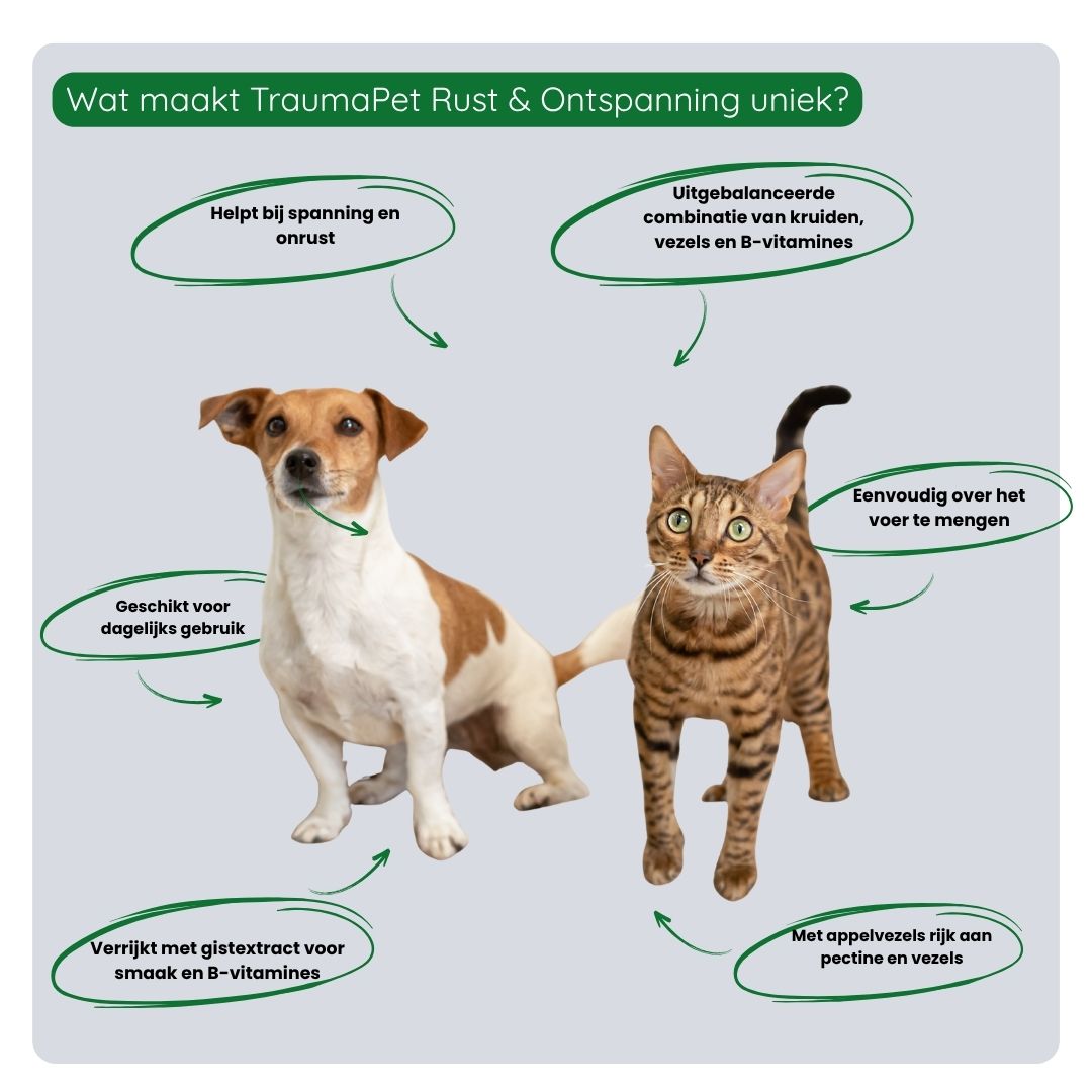 Gebruik van TraumaPet Botanicals Rust & Ontspanning door mengen met voeding voor dagelijkse ondersteuning