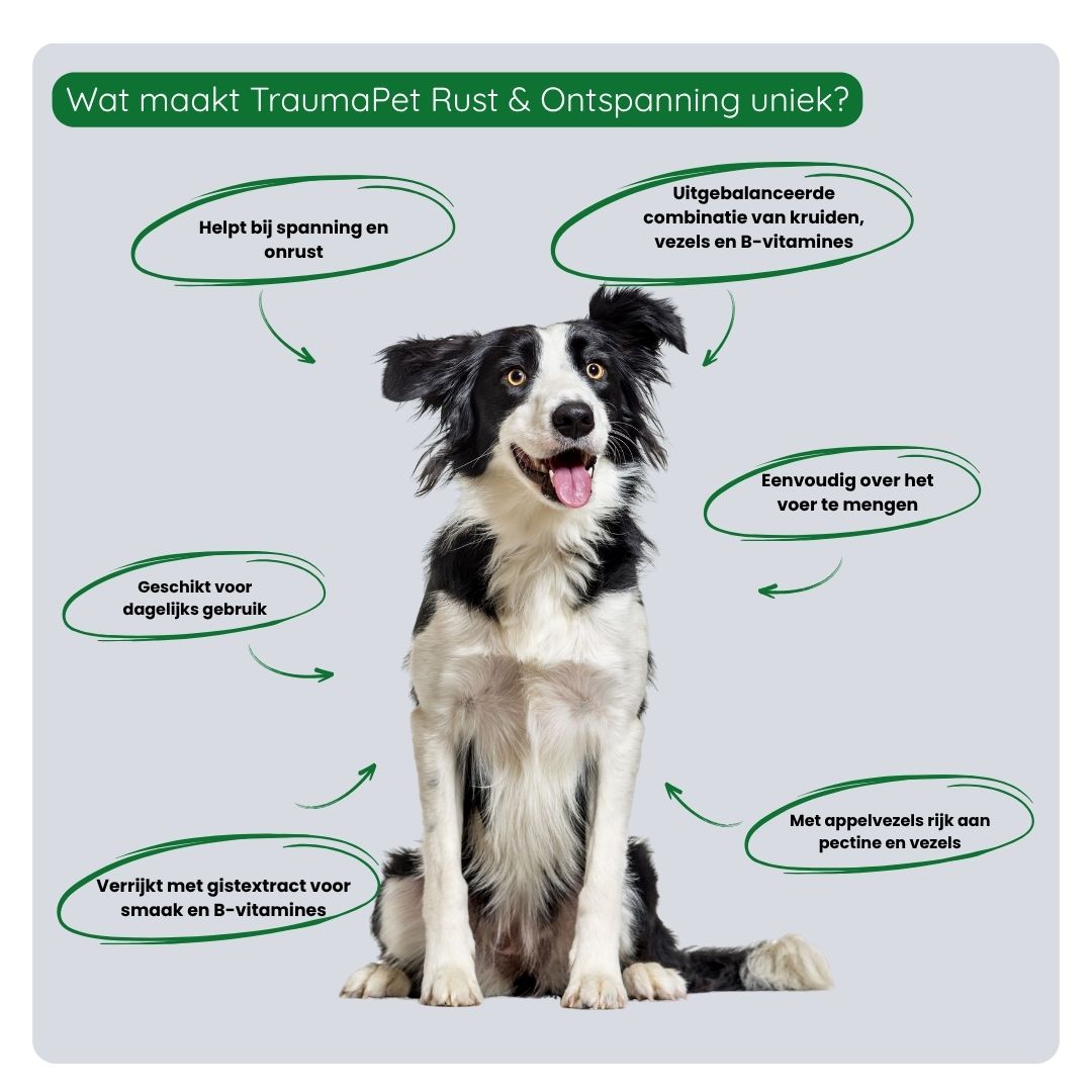 Gebruik van TraumaPet Botanicals Rust & Ontspanning door mengen met voeding voor dagelijkse ondersteuning