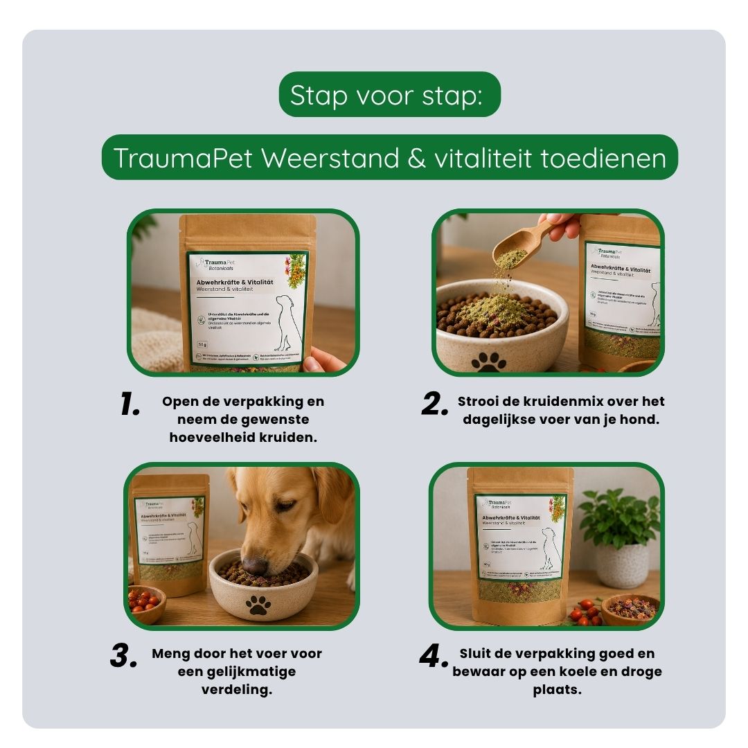 TraumaPet Botanicals Weerstand & Vitaliteit ondersteunt het immuunsysteem, energie en algehele gezondheid