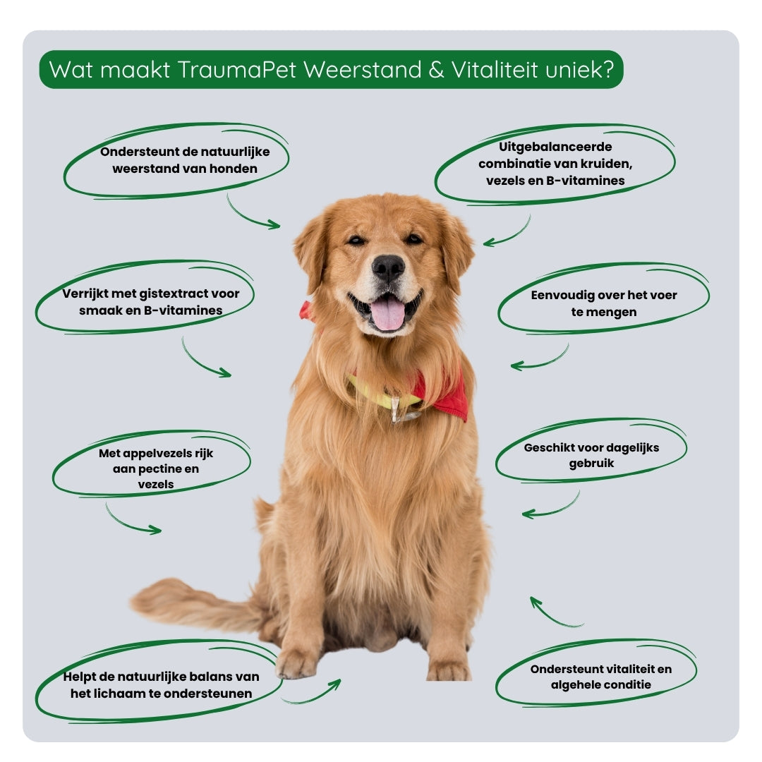 Gebruik van TraumaPet Botanicals Weerstand & Vitaliteit door mengen met voeding voor dagelijkse ondersteuning