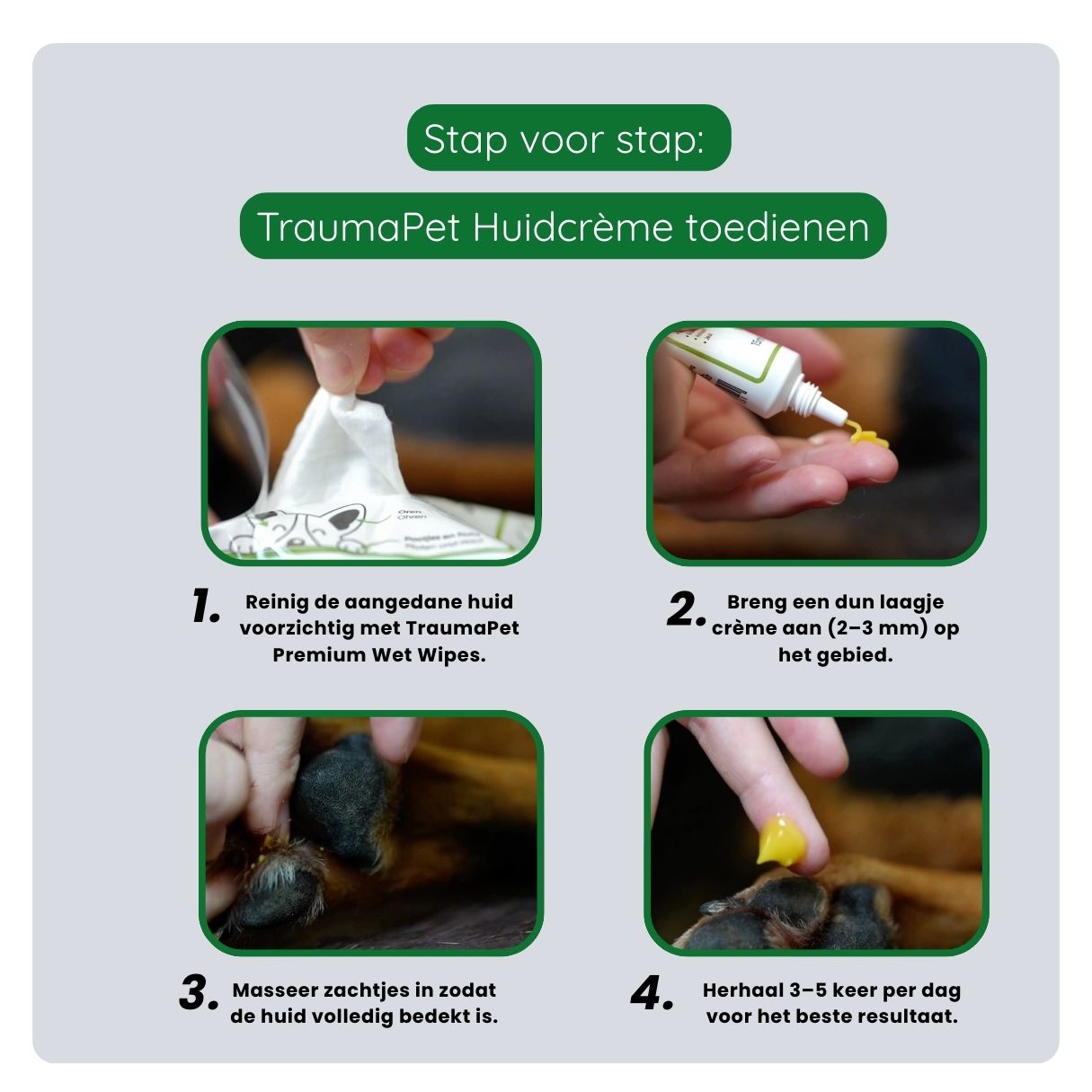 Stappenplan voor correct gebruik van TraumaPet huidcreme: huid schoonmaken, creme op geïrriteerde plekken aanbrengen en zacht inmasseren voor langdurige verzorging.