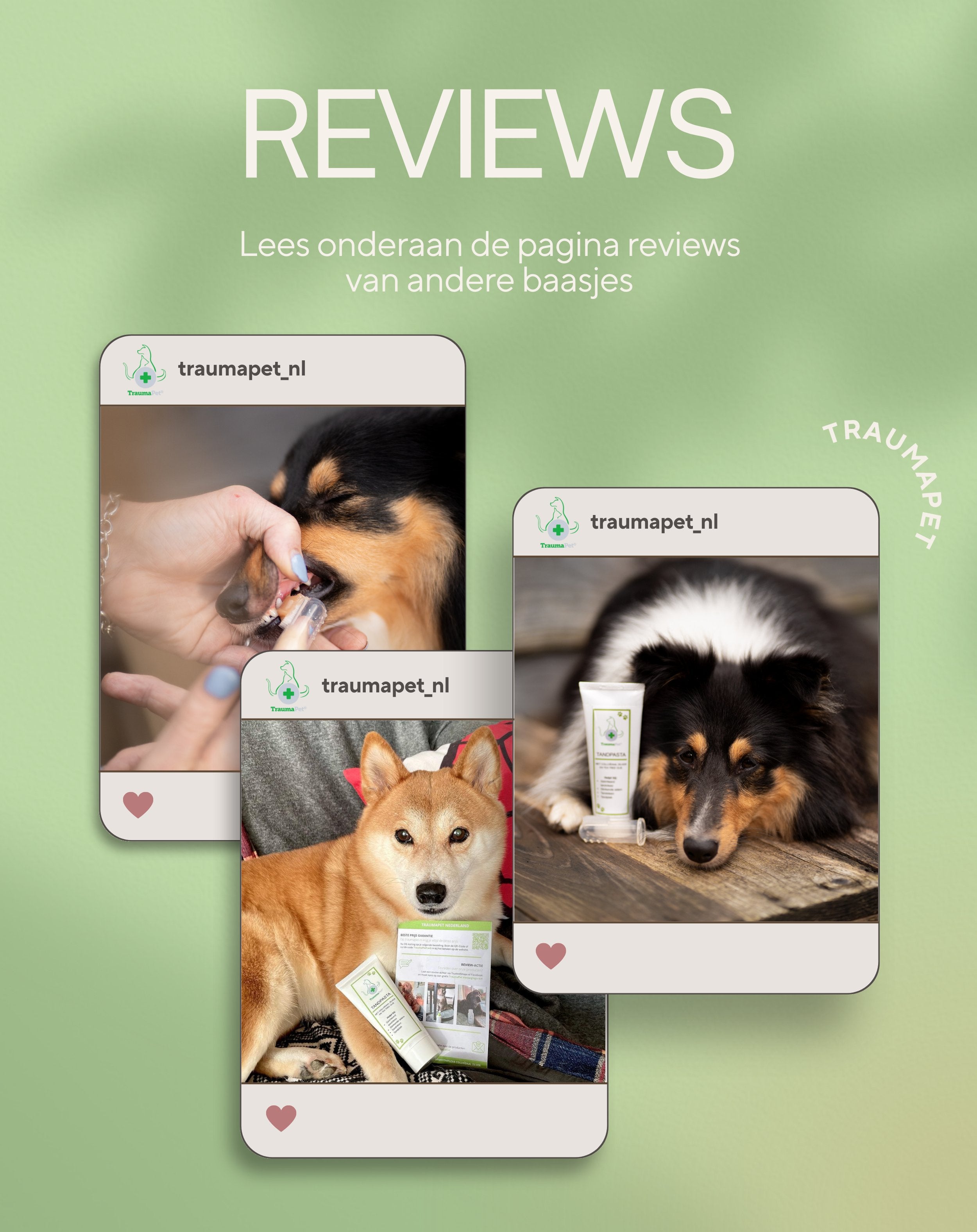 TraumaPet Nederland | Tandpasta