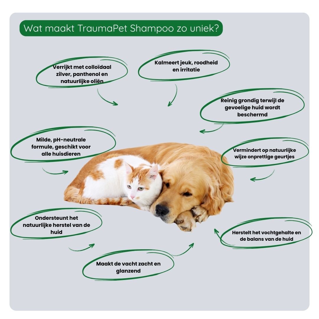 Stappenplan voor correct gebruik van TraumaPet Shampoo — vacht natmaken, shampoo gelijkmatig verdelen, inmasseren en zorgvuldig uitspoelen.