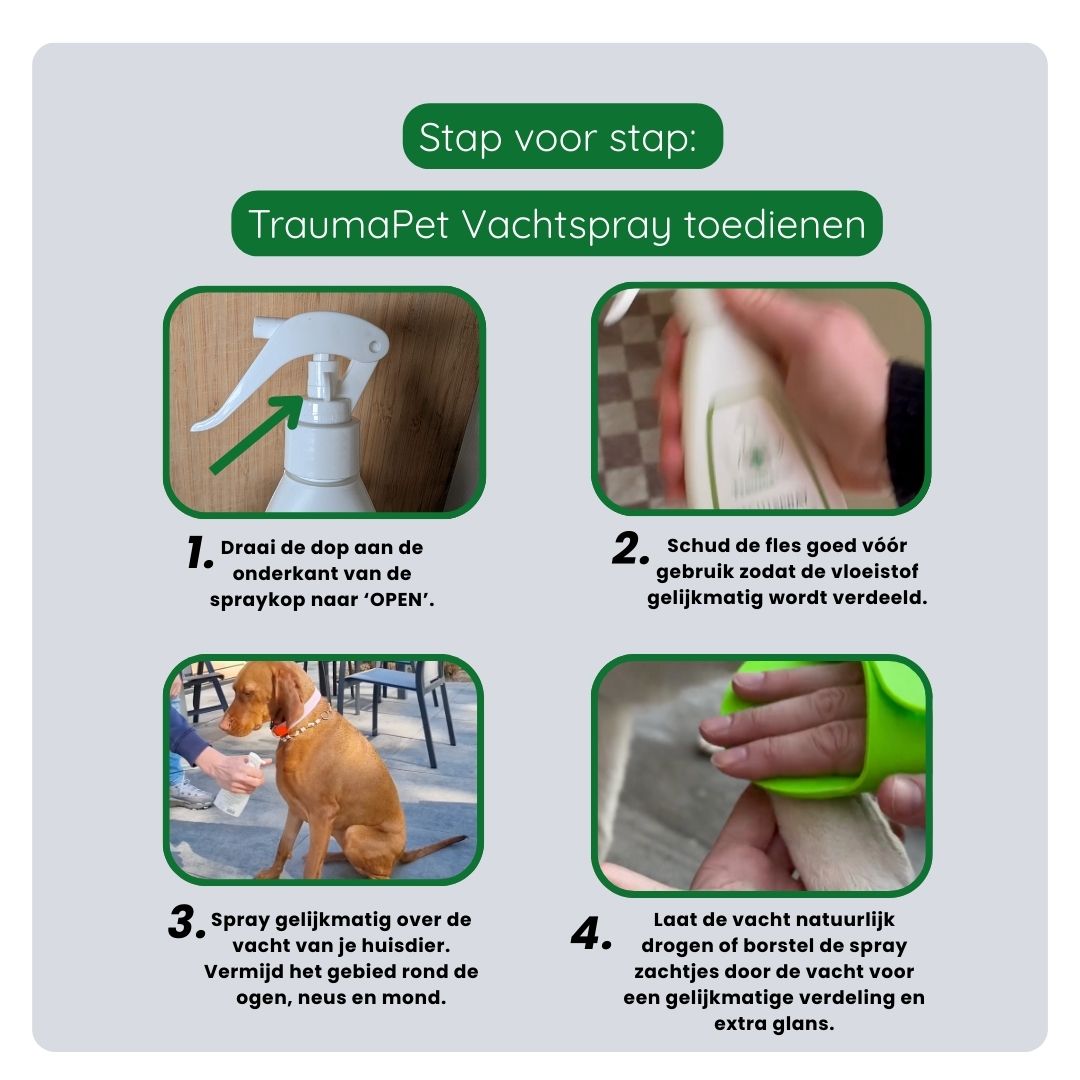 Stappenplan voor het toepassen van TraumaPet Vachtspray, gelijkmatig sprayen en zachtjes inwrijven voor optimale werking.