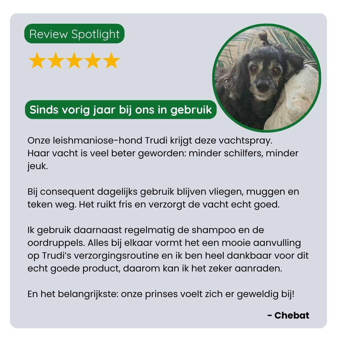 Klant deelt positieve ervaring met TraumaPet Vachtspray, minder jeuk, minder insectenbeten en een gezondere vacht.