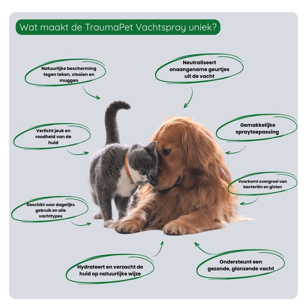 Overzicht van de voordelen van TraumaPet Vachtspray: natuurlijke insectenbescherming, verzorgt de vacht, ondersteunt gevoelige huid en vermindert irritatie.