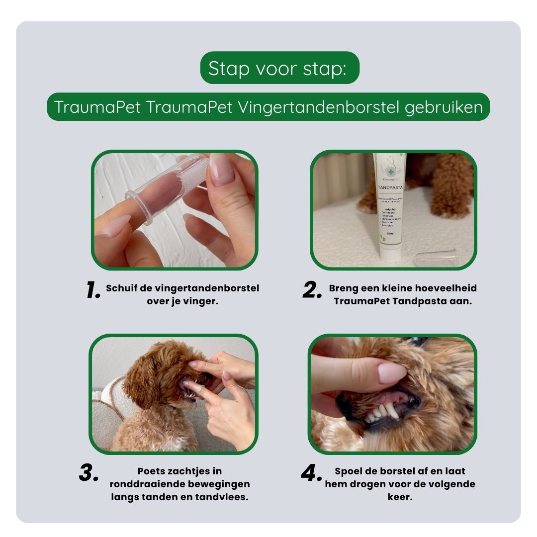 Stappenplan voor correct gebruik van de TraumaPet Vingertandenborstel: borstel over de vinger schuiven, tandpasta aanbrengen en rustig poetsen voor optimale mondverzorging.
