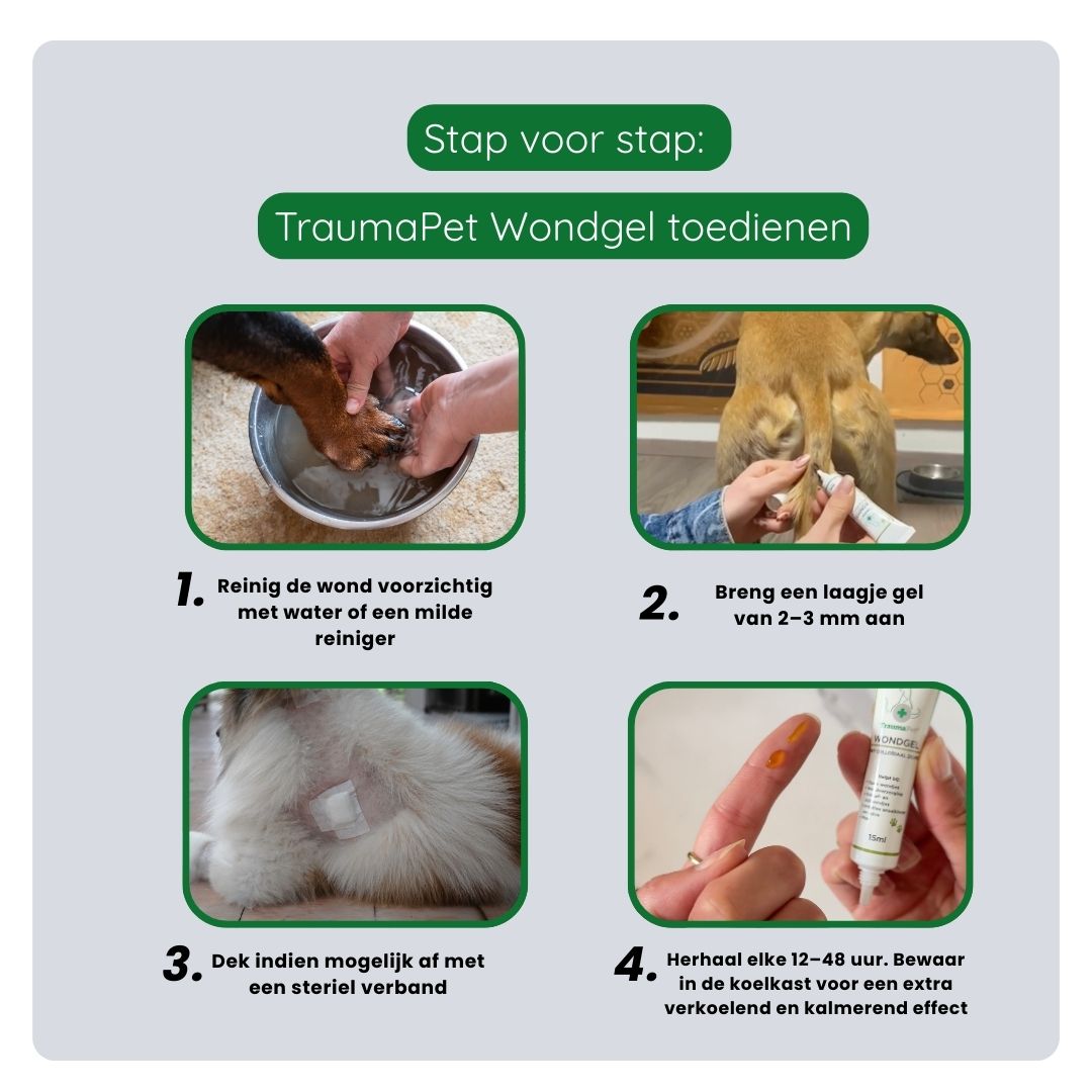 Stappenplan voor correct gebruik van TraumaPet wondgel — vuil verwijderen, gel aanbrengen, wond beschermen en elke 12–48 uur herhalen.