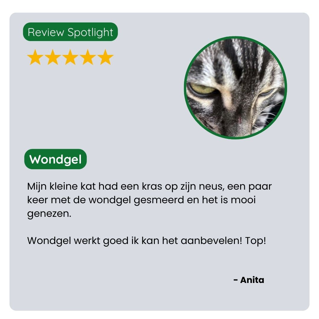 Klant deelt positieve ervaring met TraumaPet wondgel — zichtbaar sneller herstel van wondjes en minder roodheid en irritatie bij hun huisdier.