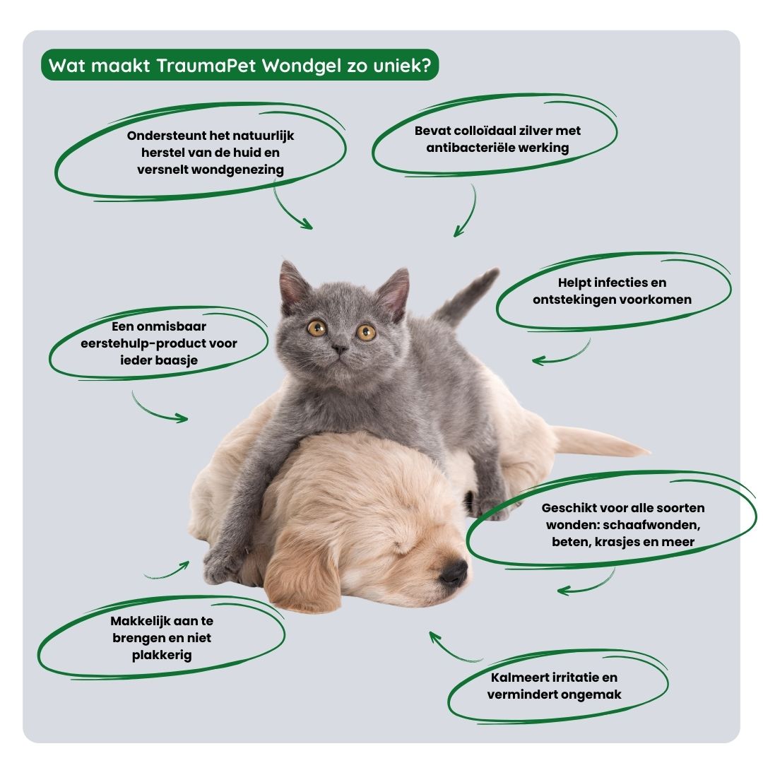 Overzicht van de voordelen van TraumaPet wondgel: antibacteriële werking, versnelt wondherstel, vermindert infectierisico en verzacht de huid.