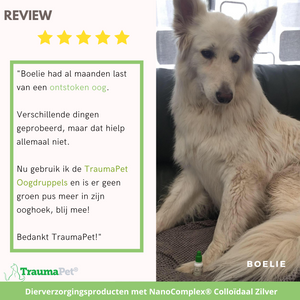 Review TraumaPet Oogdruppels voor hond - Ervaringen Met TraumaPet Oogdruppels