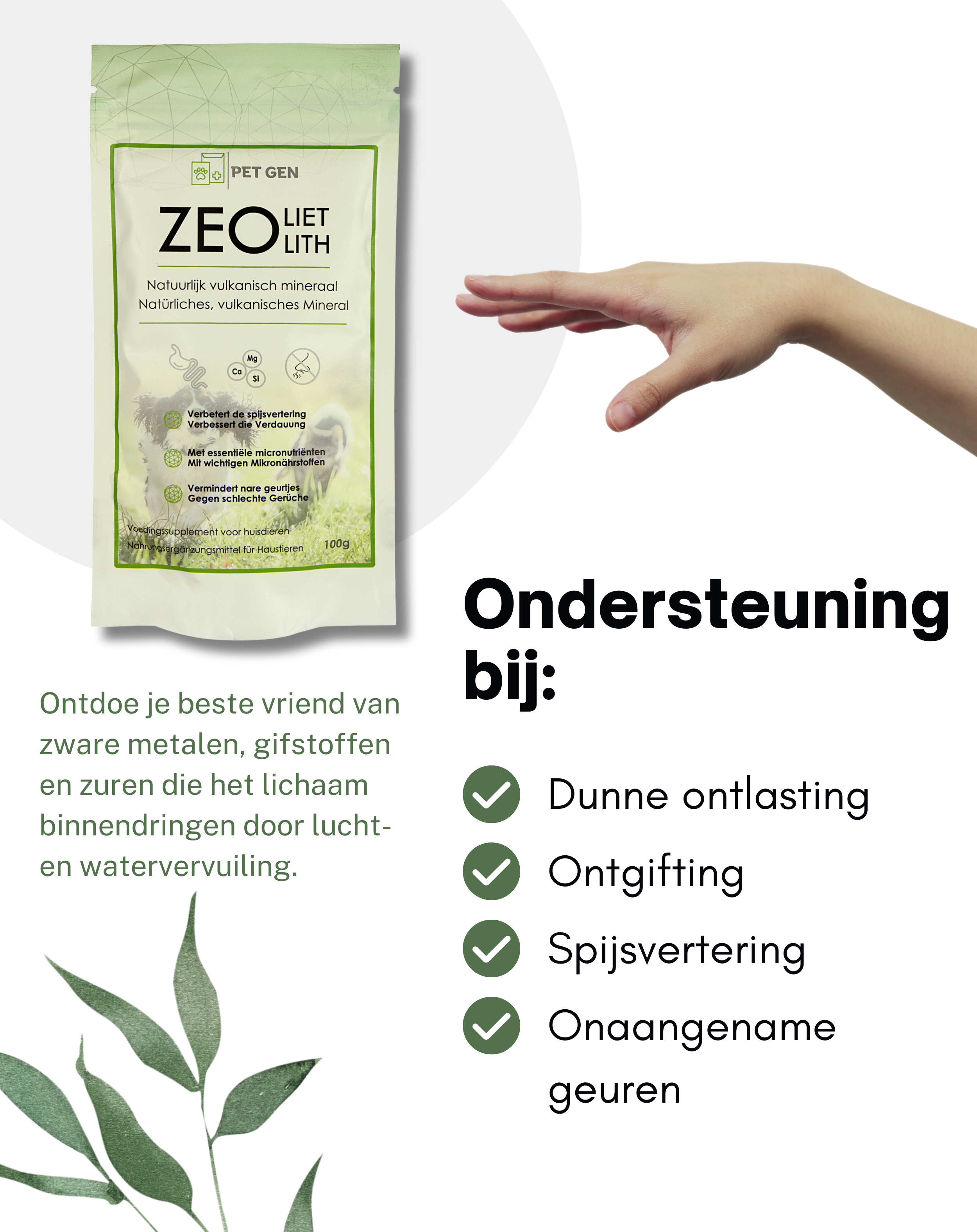 Zeoliet