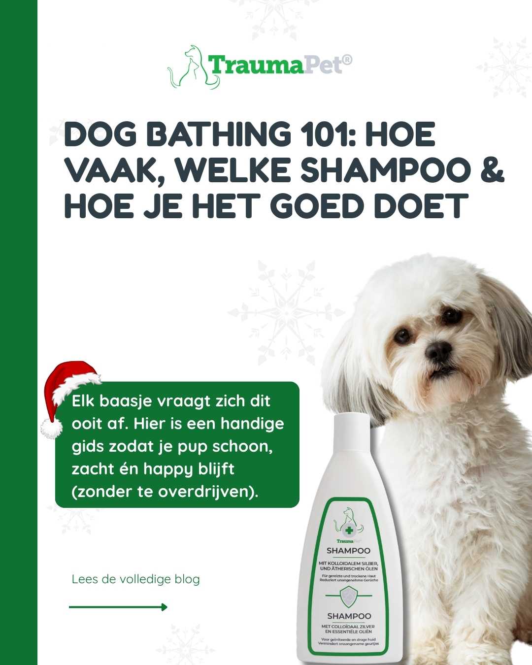 Afbeelding bij vlog “Dog Bathing 101” — hoe vaak was je je hond, welke shampoo gebruik je en hoe je een hond veilig en correct wast zonder huidirritatie.