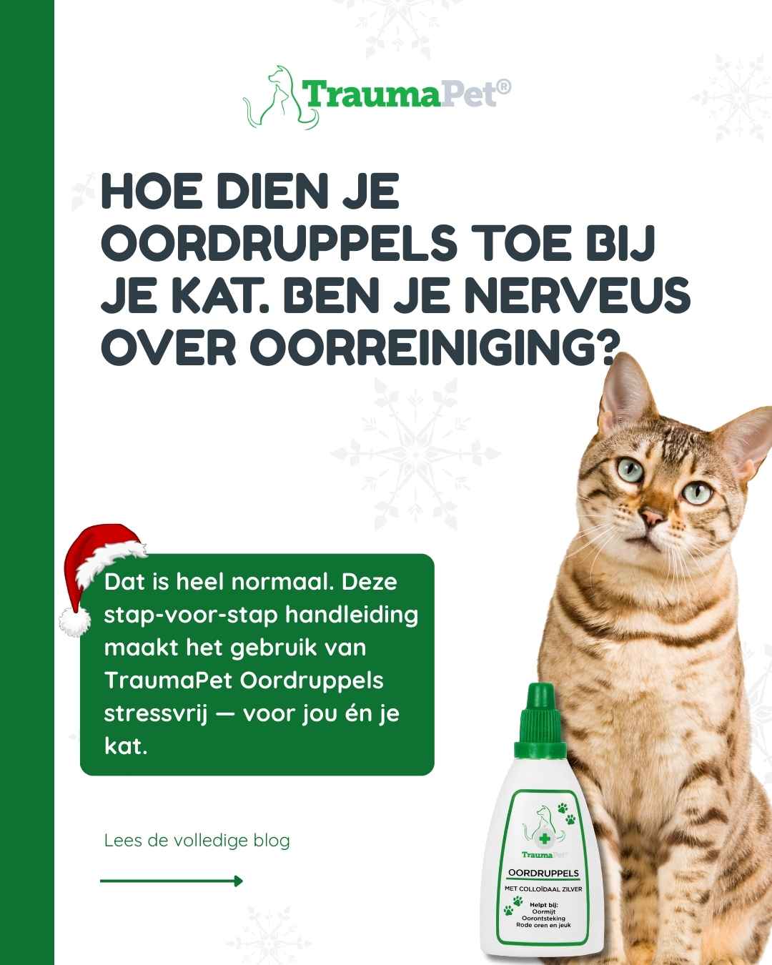 Afbeelding bij vlog over oordruppels bij katten — stap-voor-stap uitleg hoe je oordruppels veilig toedient en oorreiniging uitvoert zonder stress of angst.