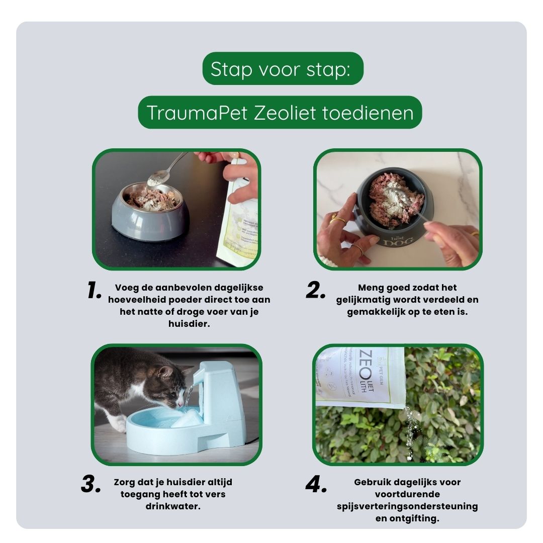 Stappenplan voor correct gebruik van Pet-Gen Zeoliet: aanbevolen hoeveelheid afmeten, door het voer mengen en dagelijks toedienen voor optimale ondersteuning.