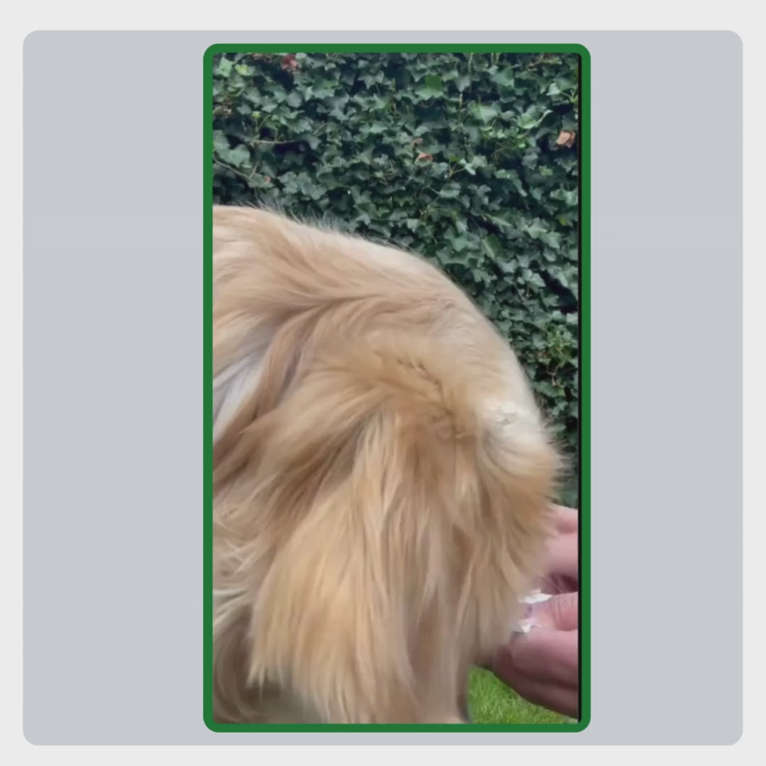 Video met uitleg over het gebruik van TraumaPet Premium Wet Wipes: ogen, oren, poten en huid voorzichtig reinigen zonder naspoelen.