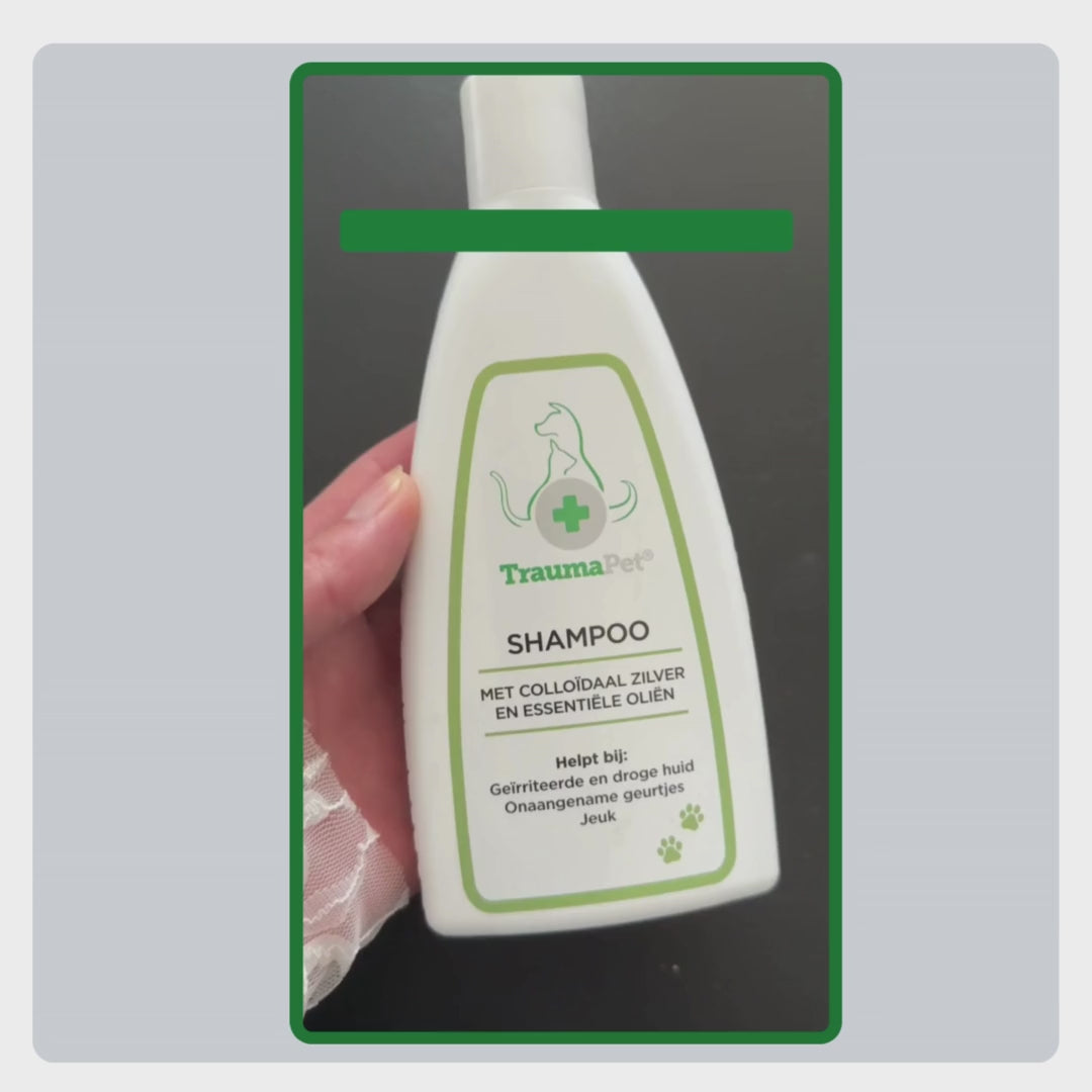 Video met uitleg over het gebruik van TraumaPet Shampoo, vacht natmaken, shampoo inmasseren, enkele minuten laten inwerken en grondig uitspoelen.