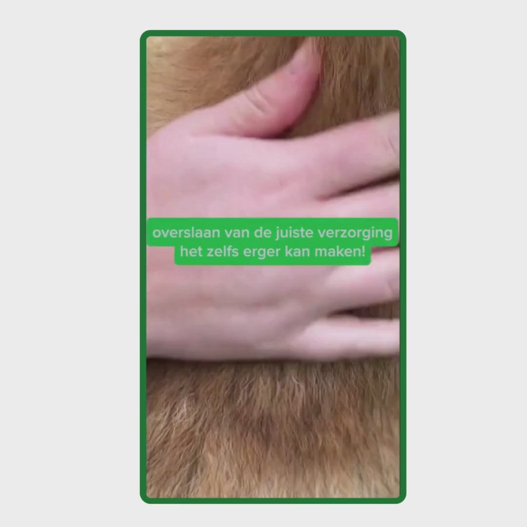 Video met uitleg over het gebruik van de Vachtverzorging Set: wassen met shampoo, beschermen met vachtspray en verzorgen met de massageborstel.