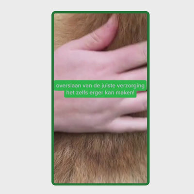 Video met uitleg over het gebruik van de Vachtverzorging Set: wassen met shampoo, beschermen met vachtspray en verzorgen met de massageborstel.