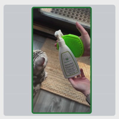 Video van een kat die wordt ingesprayd met TraumaPet Vachtspray, milde, natuurlijke bescherming tegen insecten, veilig en geschikt voor katten.