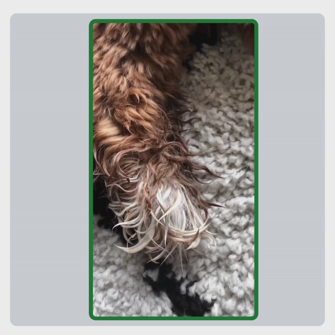 Video-uitleg hoe TraumaPet huidcreme correct wordt aangebracht: huid reinigen, creme doseren en gelijkmatig inmasseren op probleemzones.