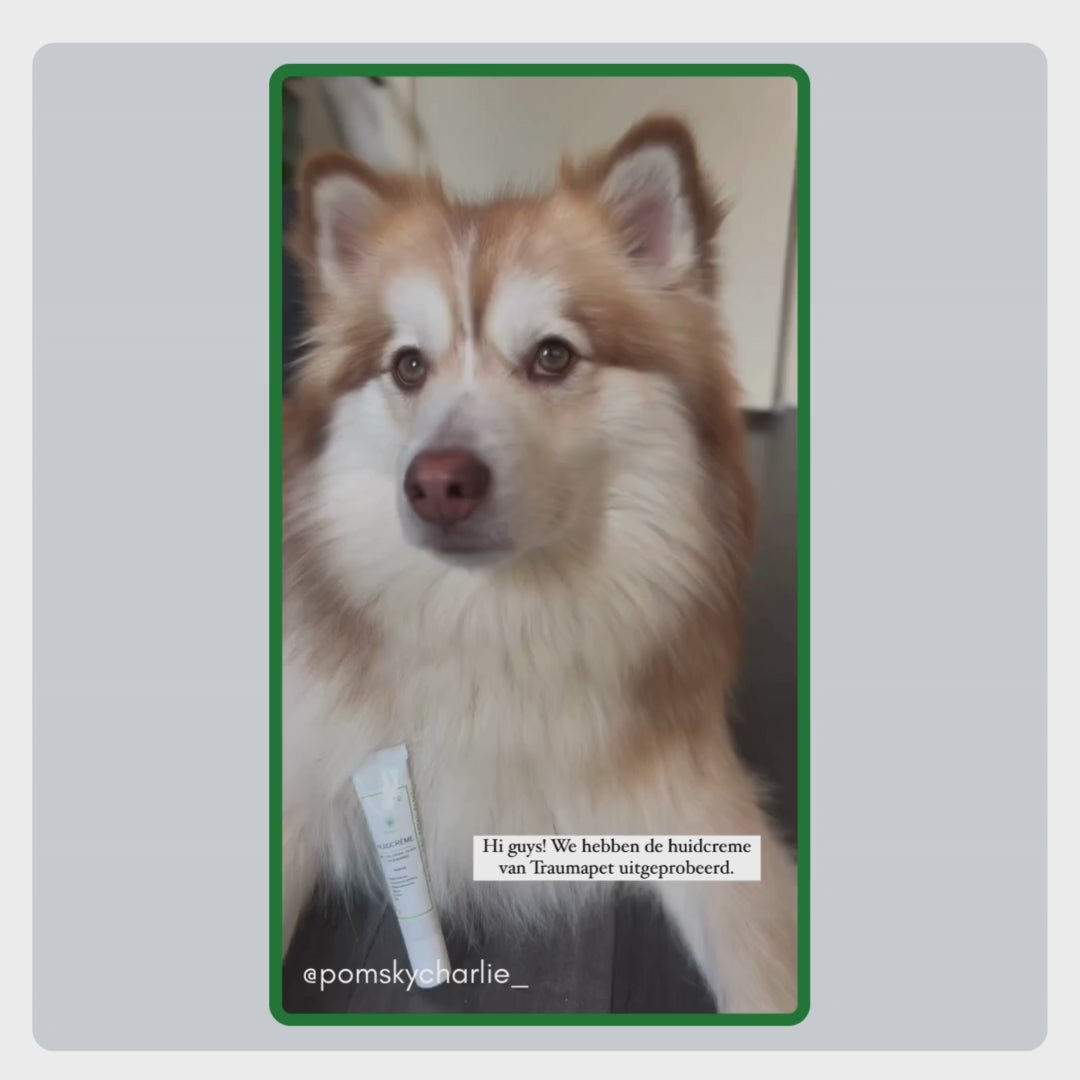 User generated video van @pomskycharlie_ die laat zien hoe TraumaPet huidcreme wordt aangebracht en zorgt voor zichtbare verlichting bij jeuk en huidirritatie.