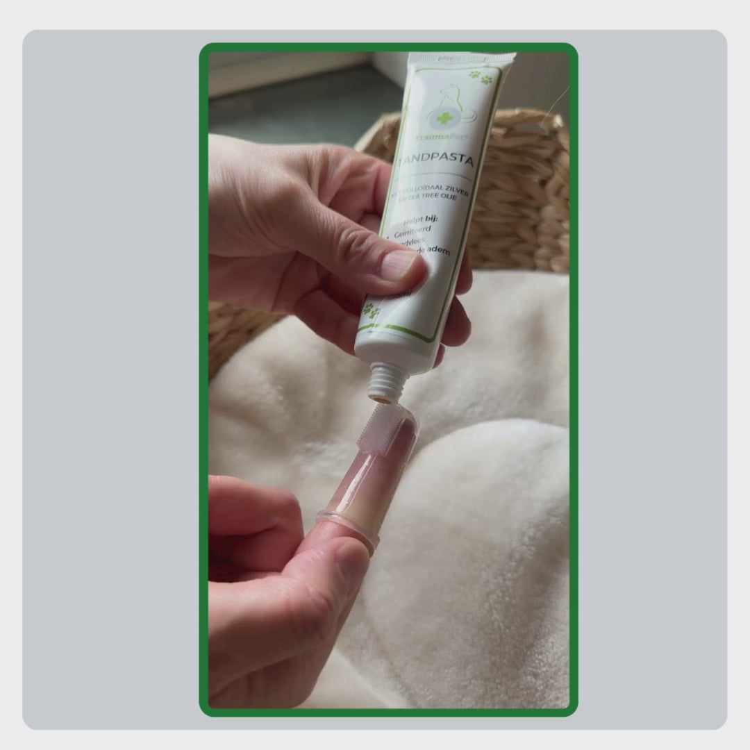 Toepassing van TraumaPet Tandpasta bij een kat, zachte en veilige tandverzorging met colloïdaal zilver voor schone tanden, gezond tandvlees en frisse adem.