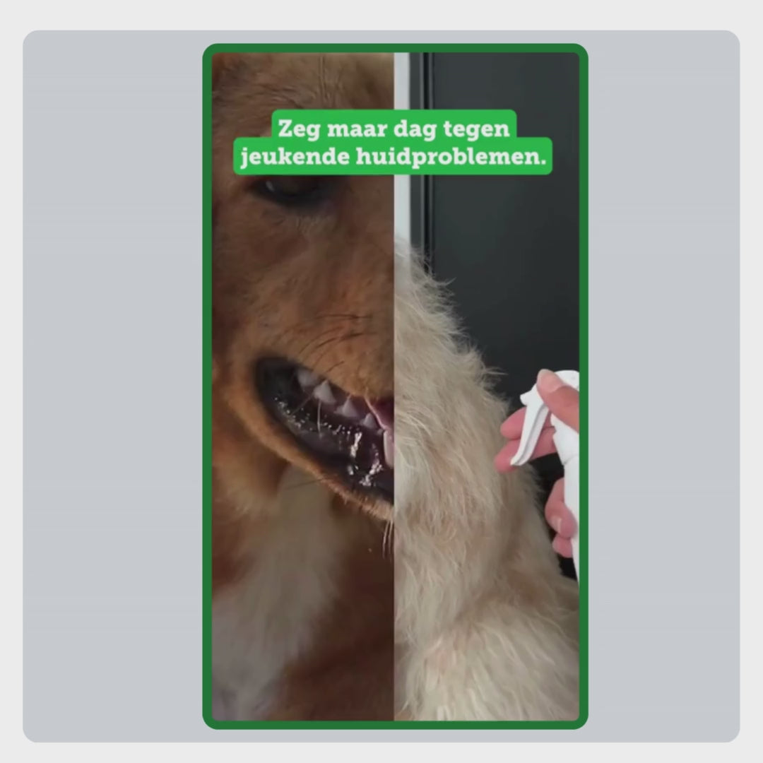 Video met uitleg over het gebruik van de Anti-Jeuk Set Z+. Wassen met shampoo, huid verzorgen met huidcreme, beschermen met Vachtspray en Zeoliet dagelijks door het voer mengen.