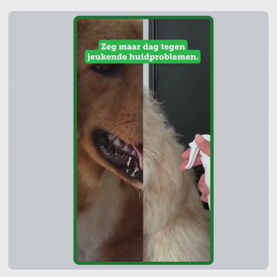 Video met uitleg over het gebruik van de Anti-Jeuk Set Z+. Wassen met shampoo, huid verzorgen met huidcreme, beschermen met Vachtspray en Zeoliet dagelijks door het voer mengen.