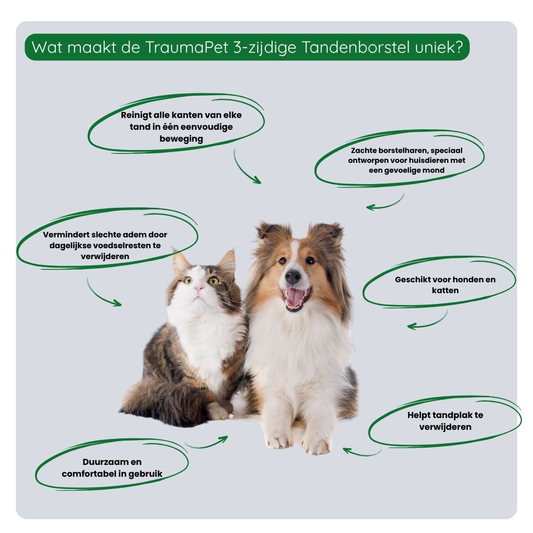Overzicht van de voordelen van de 3-zijdige Tandenborstel: reinigt drie kanten tegelijk, bespaart tijd, zacht voor tandvlees en ideaal voor dagelijkse mondverzorging.