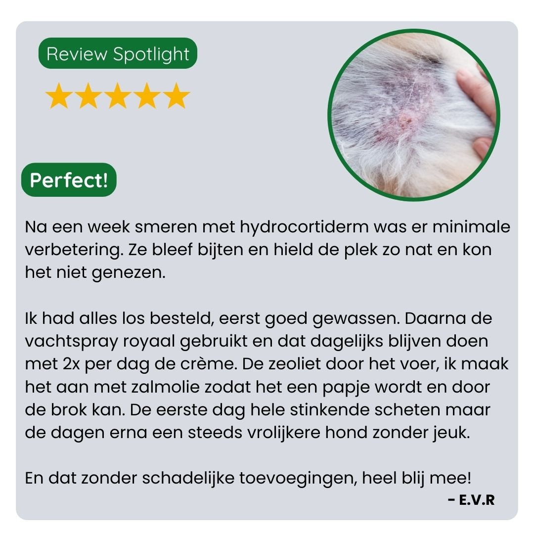 Klant deelt positieve ervaring met de TraumaPet Anti-Jeuk Set Z+. Merkbaar minder jeuk, rustigere huid en zichtbaar meer comfort bij hun huisdier.