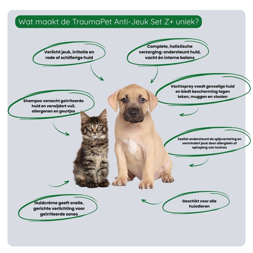 Overzicht van de voordelen van de TraumaPet Anti-Jeuk Set Z+: vermindert jeuk en irritatie, ondersteunt huidherstel, beschermt tegen externe prikkels en helpt van binnenuit bij terugkerende klachten.