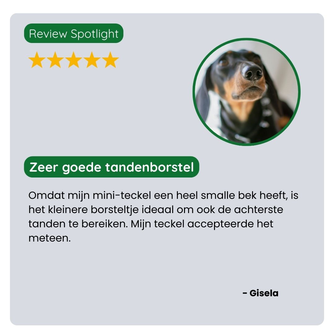 Klant deelt positieve ervaring met de TraumaPet Bamboe Dubbelzijdige Tandenborstel: beter bereik, comfortabel poetsen en zichtbaar schonere tanden bij hun huisdier.
