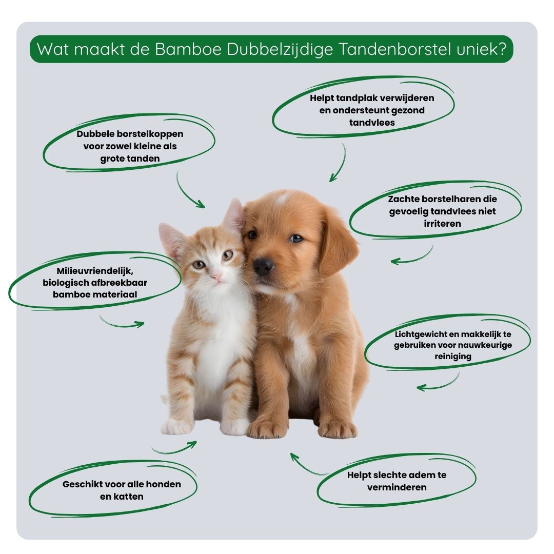 Overzicht van de voordelen van de Bamboe Dubbelzijdige Tandenborstel: duurzaam materiaal, twee borstelkoppen voor precisie, zacht voor tandvlees en ideaal voor dagelijks gebruik.