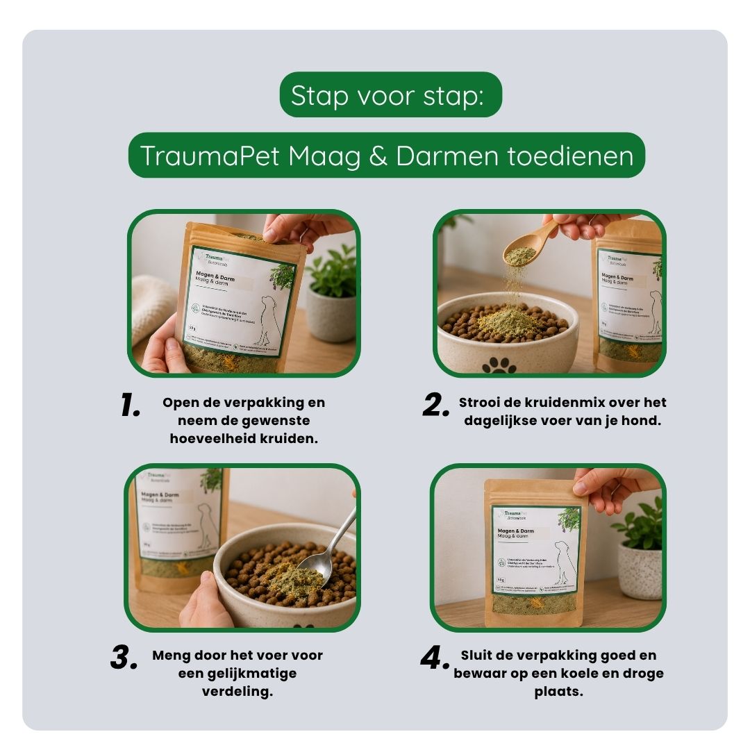 TraumaPet Botanicals Maag & Darmen ondersteunt darmflora, stoelgang en een gevoelige maag