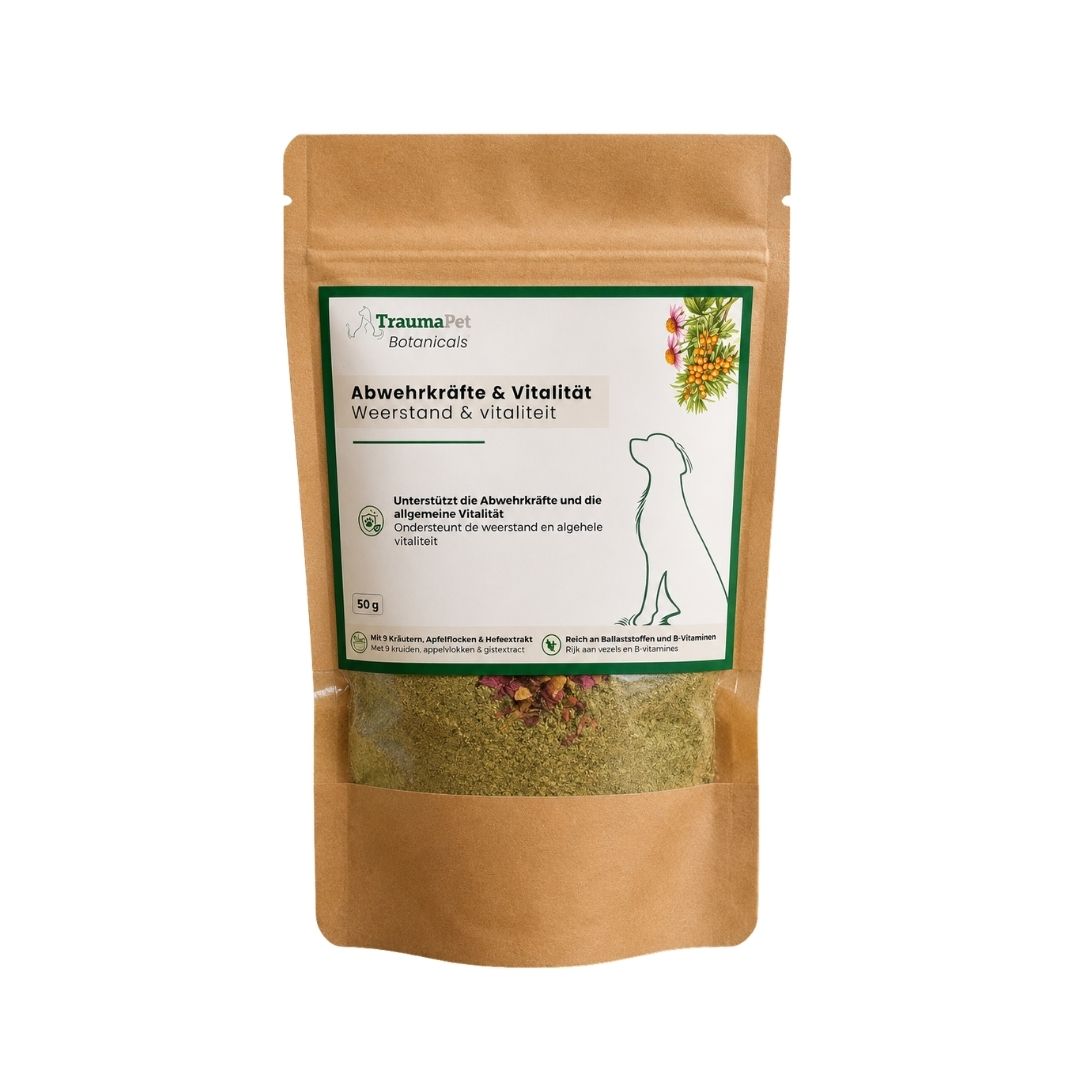 Hond en kat met sterke weerstand en vitaliteit dankzij TraumaPet Botanicals Weerstand & Vitaliteit