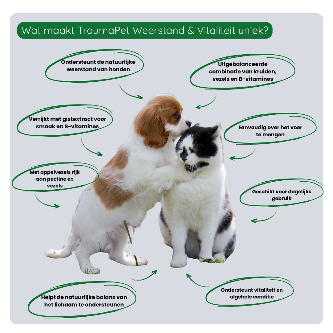 Gebruik van TraumaPet Botanicals Weerstand & Vitaliteit door mengen met voeding voor dagelijkse ondersteuning