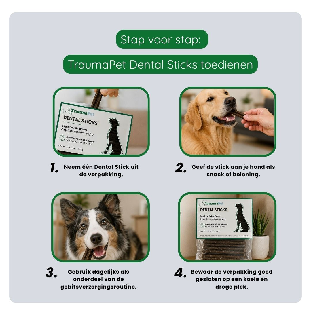Overzicht van de voordelen van TraumaPet dental sticks: helpt tandplak en tandsteen verminderen, ondersteunt gezond tandvlees, bevordert frisse adem en stimuleert kauwgedrag.