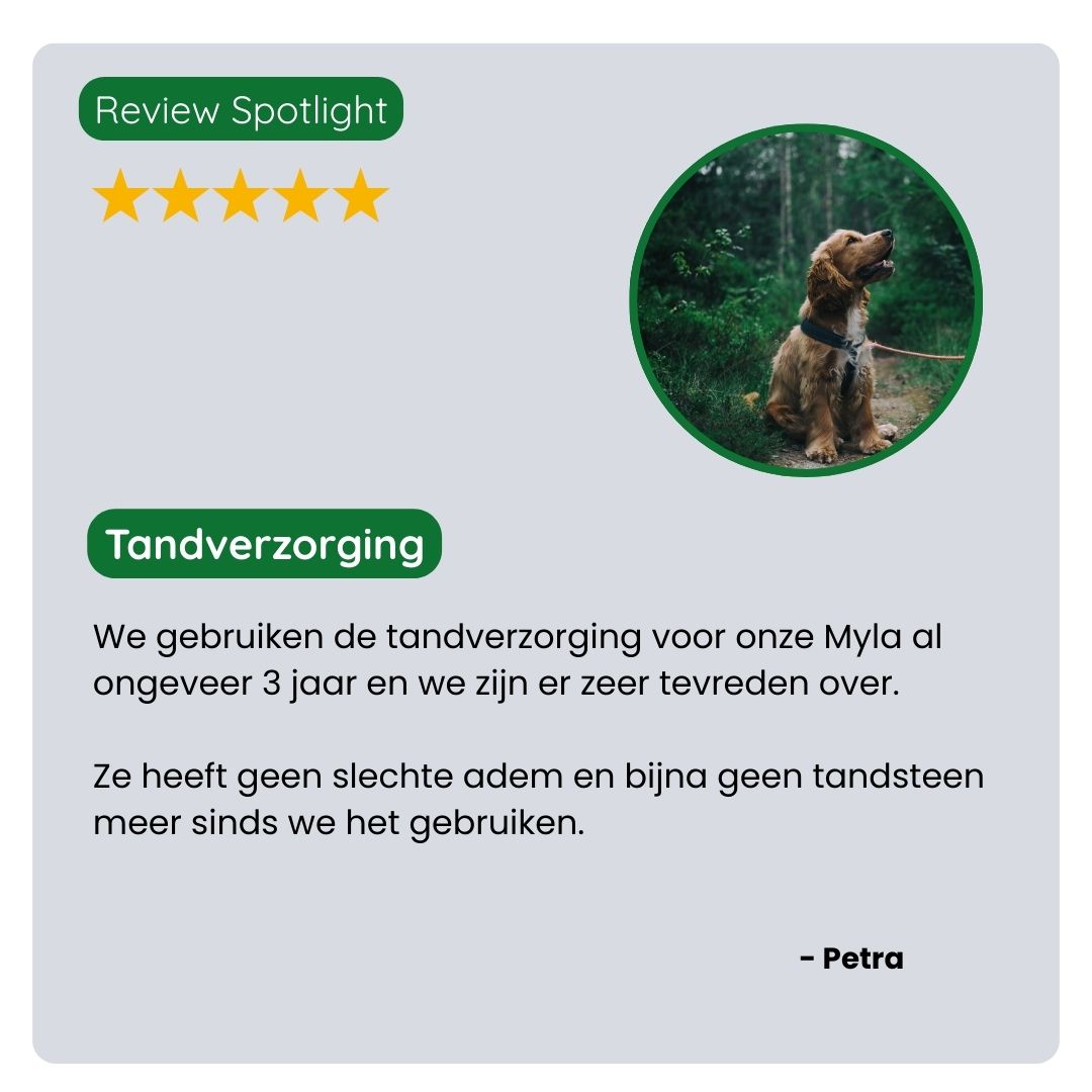 Klant deelt positieve ervaring met de TraumaPet Gebitsverzorging Set: minder tandplak, frissere adem en zichtbaar gezonder tandvlees bij hun huisdier.