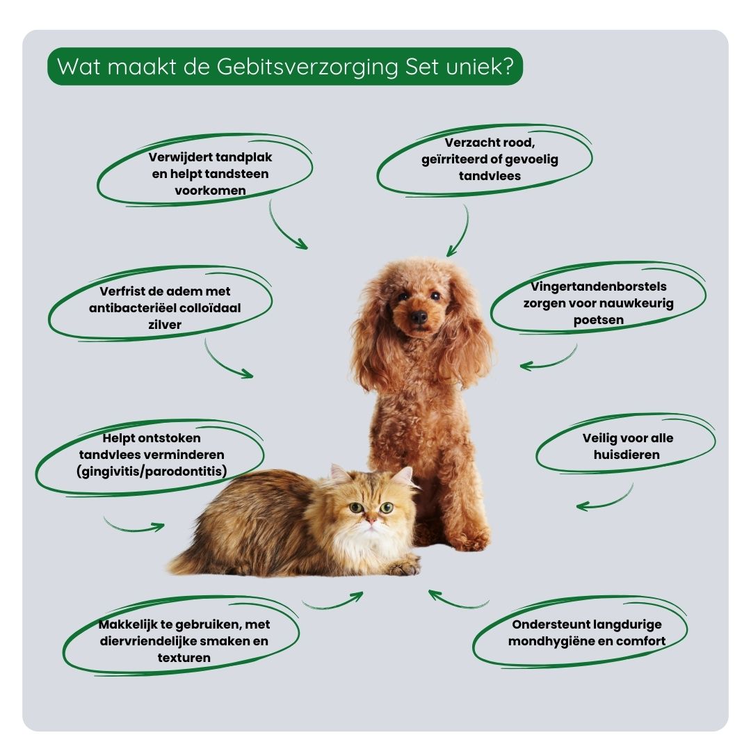 Overzicht van de voordelen van de TraumaPet Gebitsverzorging Set: complete mondverzorging, helpt tandplak en tandsteen verminderen, ondersteunt gezond tandvlees en zorgt voor frisse adem.