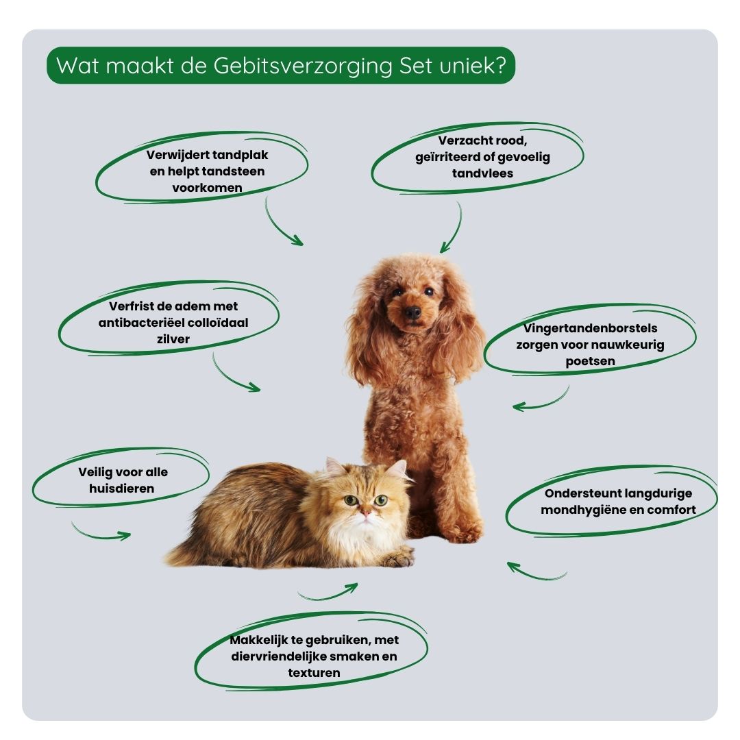 Overzicht van de voordelen van de TraumaPet Gebitsverzorging Set: complete mondverzorging, helpt tandplak en tandsteen verminderen, ondersteunt gezond tandvlees en zorgt voor frisse adem.