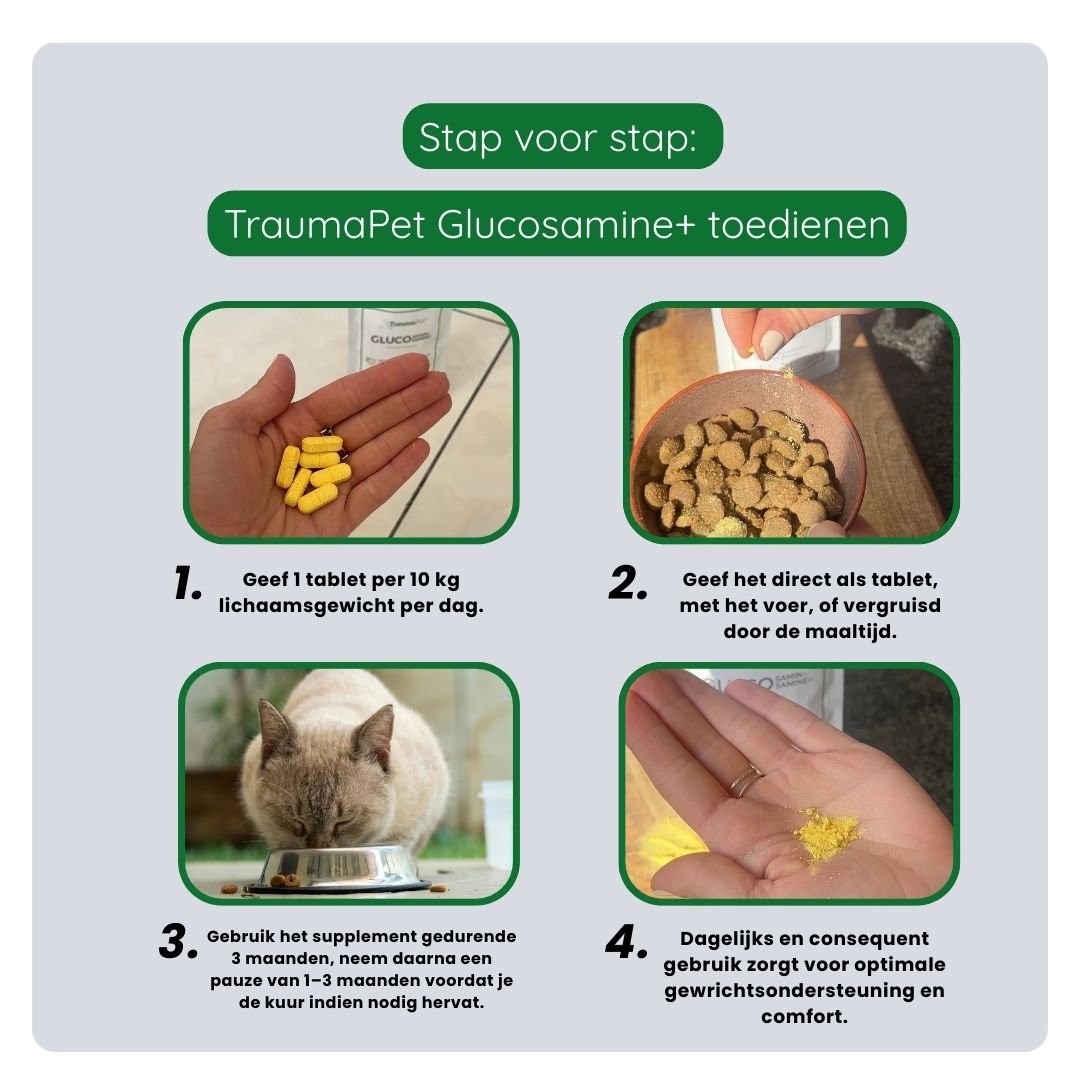 Stappenplan voor correct gebruik van TraumaPet Glucosamine+. Dagelijkse hoeveelheid afmeten, door het voer mengen en consistent geven voor langdurige ondersteuning.
