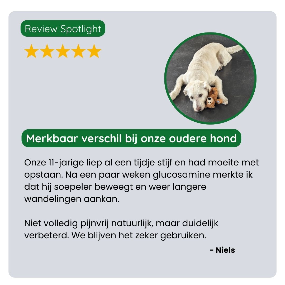 Klant deelt positieve ervaring met TraumaPet Glucosamine+. Minder stijfheid, makkelijker opstaan en merkbaar actiever gedrag bij hun huisdier.