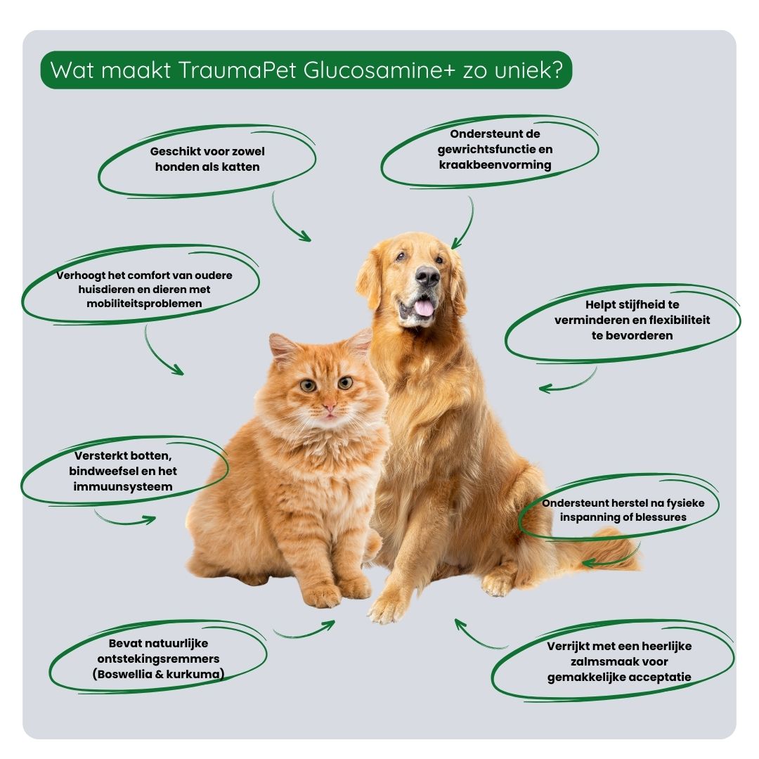 Overzicht van de voordelen van TraumaPet Glucosamine+: ondersteunt kraakbeen, bevordert soepele gewrichten, vermindert stijfheid en draagt bij aan dagelijkse bewegingsvrijheid.