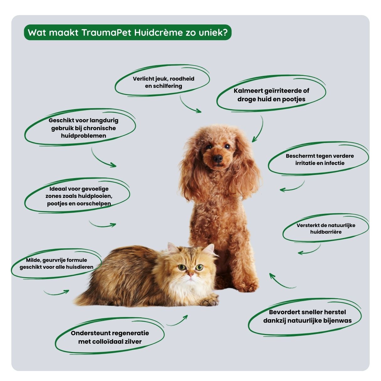 Overzicht van de voordelen van TraumaPet huidcreme: kalmeert geïrriteerde huid, vermindert jeuk en roodheid, hydrateert droge plekken en versterkt de huidbarrière.